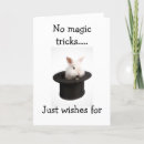 Pesquisar por funny bunny cartoes Bunnies