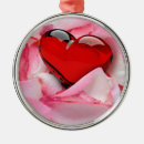 Pesquisar por eu amo rosa ornamentos Qualquer pessoa