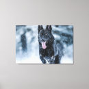 Pesquisar por wolf impressão de canvas Animal