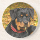 Pesquisar por do rottweiler porta copos Animal
