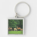 Pesquisar por cervo chaveiros Floresta