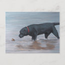 Pesquisar por preto labrador retriever de cartoes postais Animal