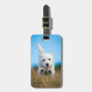 Pesquisar por imagem do cão bagagem tags Filhote de cachorro