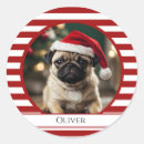 Pesquisar por foto animal adesivos Vermelho