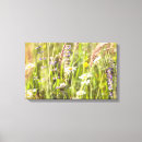 Pesquisar por margarida da flor das flores das margaridas impressão de canvas Para eles