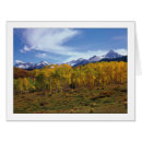 Pesquisar por álamos tremedores cartoes postais Árvore