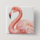 Pesquisar por do flamingo botons Aguarela