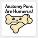 Pesquisar por anatomia adesivos Engraçado