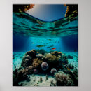 Pesquisar por peixes de água doce pósteres pôsteres Qualquer pessoa