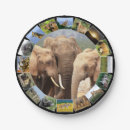 Pesquisar por african fotografia Elefante