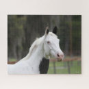 Pesquisar por cavalo do pinto quebra cabecas Bob langre