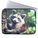 Pesquisar por guaxinim capas Fofofo