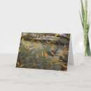 Pesquisar por captura cartoes Peixe