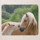 Pesquisar por cavalos do amor mantas For kids