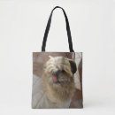 Pesquisar por shih tzu bolsas Animais de estimação