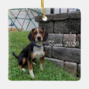 Pesquisar por crisma presentes Foto