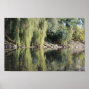 Pesquisar por árvore de salgueiro pôsteres Verão