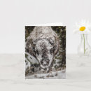 Pesquisar por yellowstone cartoes Viagem