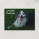 Pesquisar por pastor australiano cartao de visita Criador