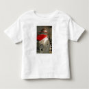 Pesquisar por automóvel antigo camisetas Histórico