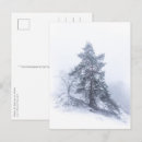 Pesquisar por coberto de neve cartoes postais Pinheiro