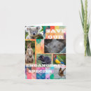 Pesquisar por canguru australiano cartoes Coala