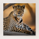 Pesquisar por leopardo quebra cabecas Fotografia
