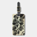 Pesquisar por painéis bagagem tags Botânica