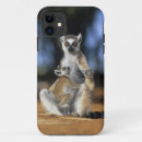 Pesquisar por lemur capas Animal