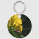 Pesquisar por abelhas chaveiros Inseto