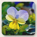 Pesquisar por viola porta copos Amarelo
