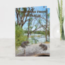 Pesquisar por da escalada cartoes Vida selvagem