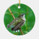 Pesquisar por colibri ceramica ornamentos Qualquer pessoa