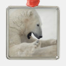 Pesquisar por risco ornamentos Vertical