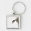 Pesquisar por weimaraner chaveiros Vertical