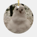 Pesquisar por minúsculo ornamentos Inverno
