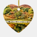 Pesquisar por lago ornamentos Fotografia