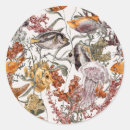 Pesquisar por vida aquática adesivos Oceano