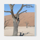 Pesquisar por natureza imas Deserto
