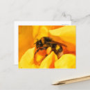 Pesquisar por bumble bee cartoes postais Rosa