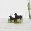 Pesquisar por doberman cartoes Obrigado