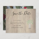 Pesquisar por gypsophila convites Leahg