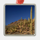 Pesquisar por tucson ornamentos Deserto