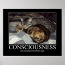 Pesquisar por casal gato pôsteres Engraçado