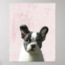 Pesquisar por terrier fotografias For kids