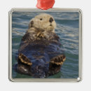 Pesquisar por lontra ornamentos Alaska