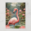 Pesquisar por retro florida cartoes postais Flamingo