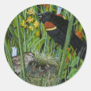 Pesquisar por junco adesivos Natureza