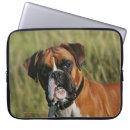 Pesquisar por pugilista capas Headshot
