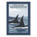 Pesquisar por lopez cartoes postais Lanterna